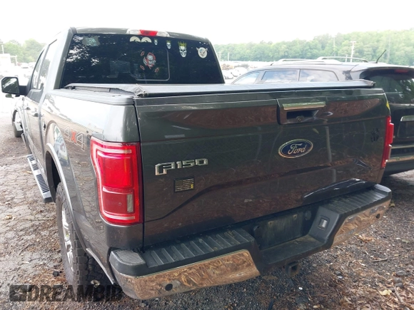 2016 Ford F-150 XLT with VIN 1FTEW1EG4GFB07334, listed as a IAAI auction lot 42278889 with 233,066 mi miles and . Bid and sale history available at DreamBid. Image 16.