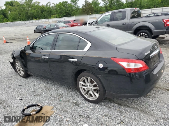 2010 Nissan Maxima SV with VIN 1N4AA5AP1AC863518, listed as a Copart auction lot 56188795 with 115,377 mi miles and Salvage title. Bid and sale history available at DreamBid. Image 2.