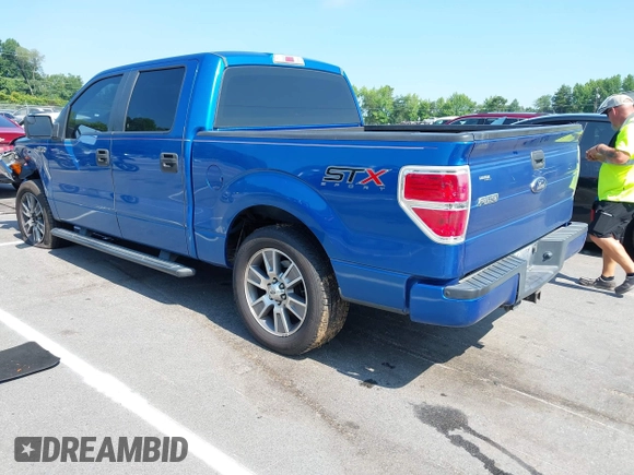 2014 Ford F-150 XL with VIN 1FTEW1CM7EKF31796, listed as a IAAI auction lot 42612772 with 183,685 mi miles and . Bid and sale history available at DreamBid. Image 3.