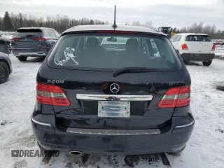 2010 Mercedes-Benz B 200 with VIN WDDFH3DB4AJ568589, listed as a Copart auction lot 47075335 with 124,366 mi miles and Salvage Title. Bid and sale history available at DreamBid. Image 6.