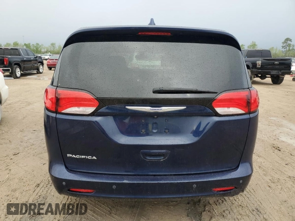 2018 Chrysler Pacifica Touring with VIN 2C4RC1DG4JR252255, listed as a Copart auction lot 51083805 with 119,563 mi miles and Clean title. Bid and sale history available at DreamBid. Image 6.