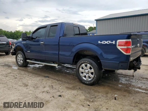 2011 Ford F-150 XL with VIN 1FTFX1ET2BFD22573, listed as a Copart auction lot 60614845 with 91,754 mi miles and Salvage title. Bid and sale history available at DreamBid. Image 2.