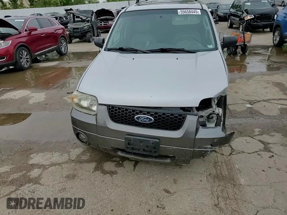 2006 Ford Escape XLT with VIN 1FMCU93156KA73772, listed as a Copart auction lot 55658445 with 217,335 mi miles and Salvage title. Bid and sale history available at DreamBid. Image 14.