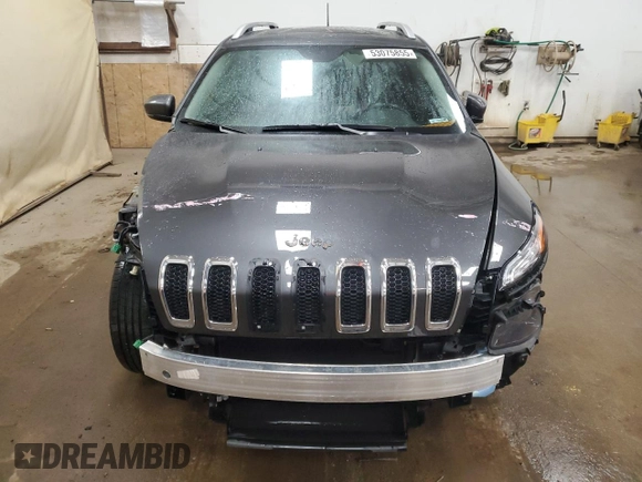 2016 Jeep Cherokee Limited with VIN 1C4PJMDS3GW235790, listed as a Copart auction lot 53075855 with 34,163 mi miles and Clean title. Bid and sale history available at DreamBid. Image 5.