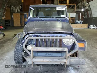 1998 Jeep Wrangler SE with VIN 1J4FY29P4WP792159, listed as a Copart auction lot 73400054 with 0 mi miles and Salvage Title. Bid and sale history available at carsss.com. Image 5.