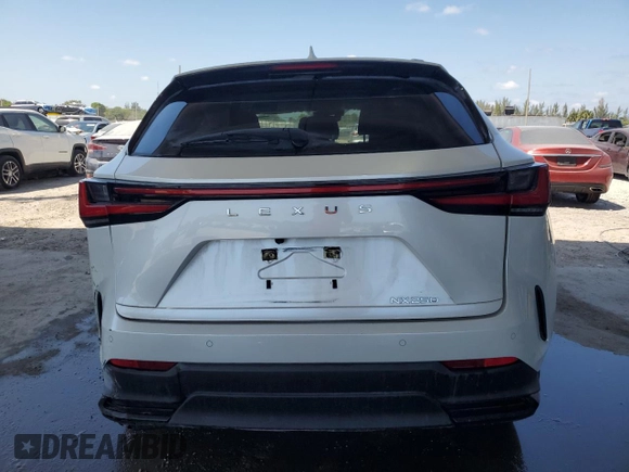 2024 Lexus NX 250 Premium with VIN JTJGDCAZ1R5017114, listed as a Copart auction lot 54422465 with 38,046 mi miles and Clean title. Bid and sale history available at DreamBid. Image 6.