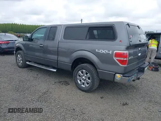 2013 Ford F-150 XL with VIN 1FTFX1EF3DFC95705, listed as a IAAI auction lot 42120940 with 118,955 mi miles. Bid and sale history available at carsss.com. Image 3.