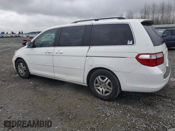 2005 Honda Odyssey EX-L with VIN 5FNRL38655B000691, listed as a Copart auction lot 47814195 with 233,384 mi miles and Clean Title. Bid and sale history available at carsss.com. Image 2.