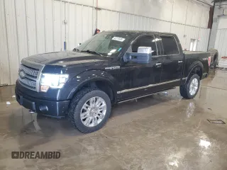 2009 Ford F-150 XL z VIN 1FTPW14V89FA02484, wystawiony jako Copart lot #58215895 z przebiegiem 199 092 mil mil oraz Tytuł czysty. Historia ofert i sprzedaży dostępna na DreamBid. Obrazek 1.