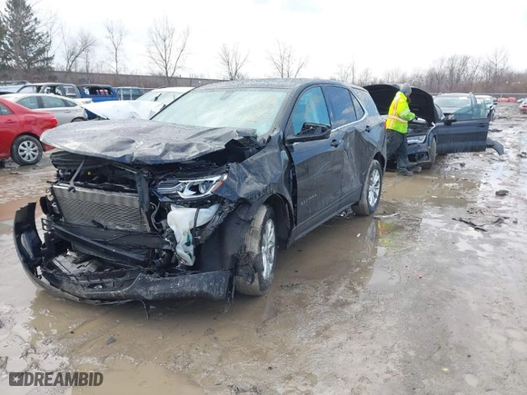 2019 Chevrolet Equinox LT with VIN 2GNAXKEV3K6275461, listed as a IAAI auction lot 41666491 with 129,082 mi miles. Bid and sale history available at carsss.com. Image 2.