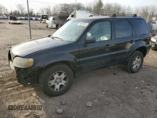 2006 Ford Escape Limited with VIN 1FMYU94196KC82484, listed as a Copart auction lot 48523075 with 208,093 mi miles and Salvage Title. Bid and sale history available at carsss.com. Image 1.