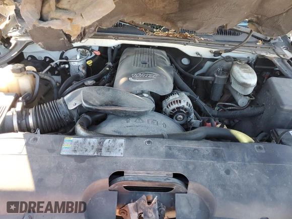 2003 Chevrolet Silverado 1500 with VIN 2GCEC19V731196352, listed as a Copart auction lot 80049704 with 173,830 mi miles and Salvage Title. Bid and sale history available at carsss.com. Image 11.