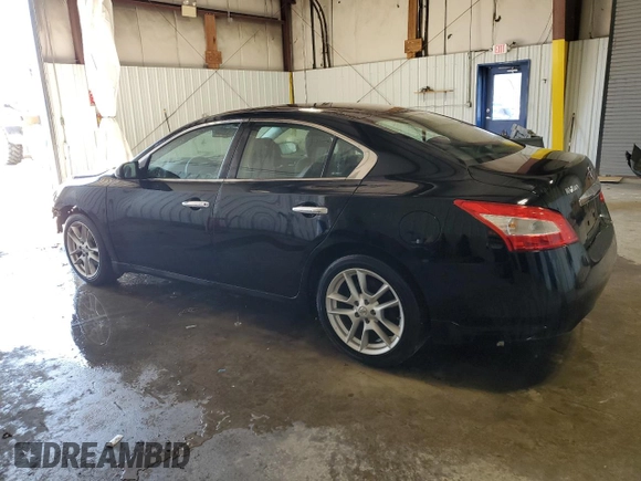 2009 Nissan Maxima SV with VIN 1N4AA51E19C836667, listed as a Copart auction lot 47928705 with 131,022 mi miles and Salvage Title. Bid and sale history available at DreamBid. Image 2.