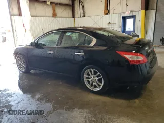 2009 Nissan Maxima SV with VIN 1N4AA51E19C836667, listed as a Copart auction lot 47928705 with 131,022 mi miles and Salvage Title. Bid and sale history available at DreamBid. Image 2.