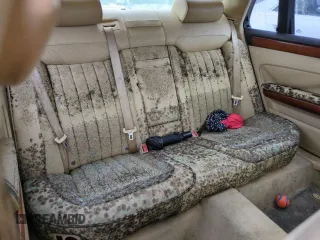 2006 Volkswagen Phaeton z VIN WVWAF03DX68001927, wystawiony jako Copart lot #75046814 z przebiegiem Nie podano mil oraz Nie do naprawy. Historia ofert i sprzedaży dostępna na DreamBid. Obrazek 10.