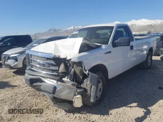 2009 Ford F-150 XL with VIN 1FTRF12W39KB59366, listed as a Copart auction lot 50194095 with 341,537 mi miles and Salvage Title. Bid and sale history available at carsss.com. Image 1.