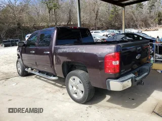 2009 Chevrolet Silverado 1500 with VIN 2GCEC330691105735, listed as a Copart auction lot 47586235 with 256,787 mi miles and Salvage Title. Bid and sale history available at DreamBid. Image 2.