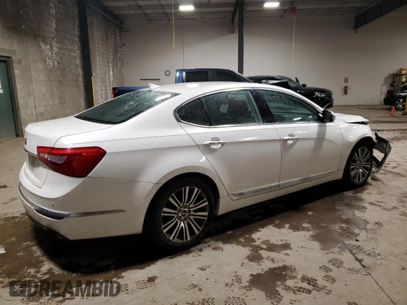 2014 Kia Cadenza Premium with VIN KNALN4D7XE5165767, listed as a Copart auction lot 81520014 with 102,229 mi miles and Salvage Title. Bid and sale history available at carsss.com. Image 3.