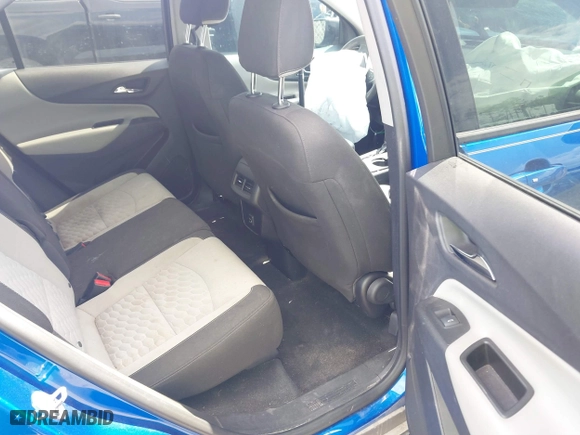 2019 Chevrolet Equinox LS with VIN 3GNAXHEV2KS521825, listed as a IAAI auction lot 41761311 with 117,207 mi miles. Bid and sale history available at carsss.com. Image 8.
