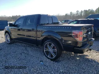 2010 Ford F-150 with VIN 1FTEW1CV6AFA09527, listed as a Copart auction lot 41410035 with 191,889 mi miles and Salvage title. Bid and sale history available at DreamBid. Image 2.
