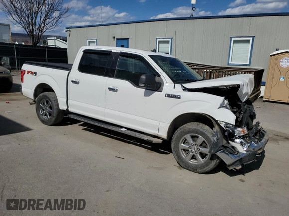2019 Ford F-150 XL with VIN 1FTEW1E44KFA84586, listed as a Copart auction lot 50555625 with 204,126 mi miles and Salvage Title. Bid and sale history available at carsss.com. Image 4.