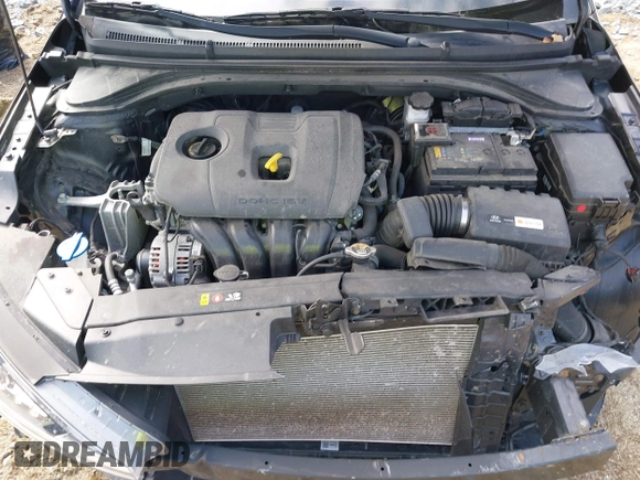2019 Hyundai Elantra SE with VIN 5NPD74LF2KH456303, listed as a IAAI auction lot 41883769 with 67,234 mi miles and . Bid and sale history available at DreamBid. Image 10.