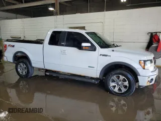 2014 Ford F-150 XL with VIN 1FTFX1ET4EFB30477, listed as a Copart auction lot 64844355 with Not provided miles and Clean title. Bid and sale history available at DreamBid. Image 4.