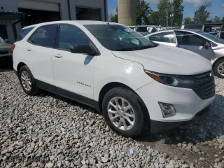 2019 Chevrolet Equinox LS with VIN 3GNAXHEV4KS663139, listed as a Copart auction lot 65953454 with 71,243 mi miles and Non Repairable. Bid and sale history available at carsss.com. Image 4.