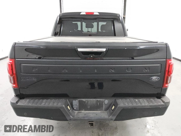 2016 Ford F-150 XLT with VIN 1FTEW1EG3GFA62855, listed as a Copart auction lot 49888435 with 129,551 mi miles and Clean Title. Bid and sale history available at carsss.com. Image 6.