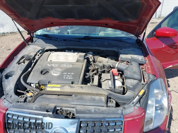 2004 Nissan Maxima SE with VIN 1N4BA41EX4C911728, listed as a IAAI auction lot 41685652 with Not provided miles and . Bid and sale history available at DreamBid. Image 10.