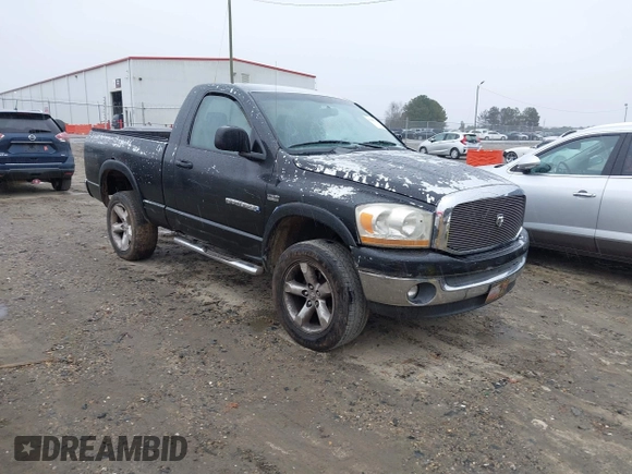 2006 Dodge 1500 SLT with VIN 1D7HU16286J125181, listed as a IAAI auction lot 41606294 with 151,971 mi miles and . Bid and sale history available at DreamBid. Image 1.