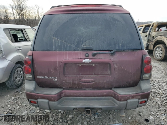 2006 Chevrolet TrailBlazer LS with VIN 1GNET16S166127011, listed as a Copart auction lot 45123535 with 204,315 mi miles and Salvage Title. Bid and sale history available at DreamBid. Image 6.