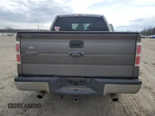 2010 Ford F-150 XL with VIN 1FTEW1C89AFA68212, listed as a Copart auction lot 47641185 with 313,339 mi miles and Clean Title. Bid and sale history available at carsss.com. Image 6.