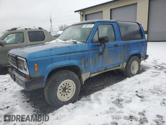 1985 Ford Bronco with VIN 1FMBU14SXFUA96361, listed as a Copart auction lot 43681375 with 98,999 mi miles and Clean title. Bid and sale history available at DreamBid. Image 1.