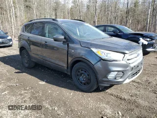 2017 Ford Escape SE with VIN 1FMCU0GD3HUD61572, listed as a Copart auction lot 51241255 with 215,193 mi miles and Clean Title. Bid and sale history available at carsss.com. Image 4.