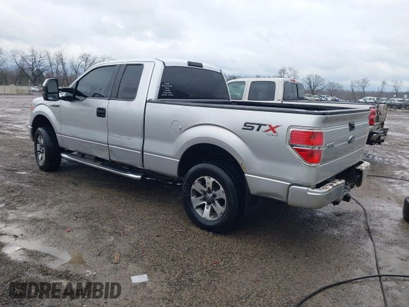 2014 Ford F-150 XL with VIN 1FTEX1EM7EFB45866, listed as a IAAI auction lot 41514448 with 114,722 mi miles and . Bid and sale history available at DreamBid. Image 3.