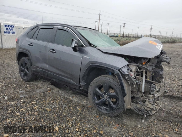 2019 Toyota RAV4 Hybrid XSE with VIN JTMEWRFV3KD517901, listed as a Copart auction lot 57329545 with Not provided miles and Salvage title. Bid and sale history available at DreamBid. Image 4.