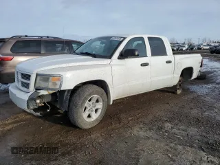 2011 Ram Dakota Bighorn/Lonestar with VIN 1D7RW3GK9BS676443, listed as a Copart auction lot 42921975 with 248,757 mi miles and Salvage Title. Bid and sale history available at carsss.com. Image 1.