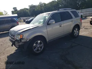 2009 Ford Escape Limited with VIN 1FMCU04G59KB71672, listed as a Copart auction lot 61250115 with 160,259 mi miles and Salvage title. Bid and sale history available at DreamBid. Image 1.