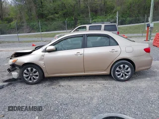 2011 Toyota Corolla L with VIN JTDBU4EEXB9147935, listed as a IAAI auction lot 42084049 with 29,573 mi miles and . Bid and sale history available at DreamBid. Image 14.