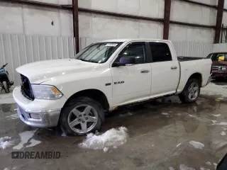 2009 Dodge 1500 SLT with VIN 1D3HV13T49S744385, listed as a Copart auction lot 87455004 with 306,513 mi miles and Salvage Title. Bid and sale history available at carsss.com. Image 1.