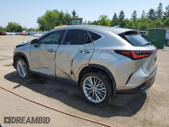 2024 Lexus NX 350h Premium z VIN 2T2GKCEZ4RC025080, wystawiony jako Copart lot #62932195 z przebiegiem 4 209 mil mil oraz Czysty tytuł • Clean title. Historia ofert i sprzedaży dostępna na DreamBid. Obrazek 2.