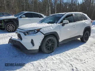 2019 Toyota RAV4 XLE with VIN 2T3W1RFV9KW016629, listed as a Copart auction lot 43346345 with 93,819 mi miles and Clean Title. Bid and sale history available at carsss.com. Image 1.