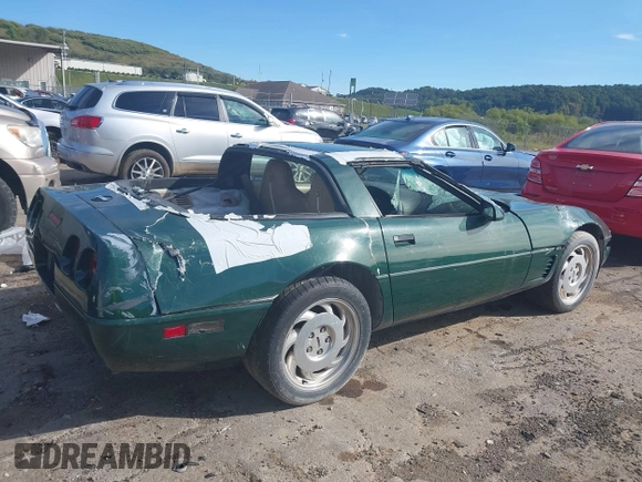 1995 Chevrolet Corvette z VIN 1G1YY22P6S5111944, wystawiony jako IAAI lot #40221508 z przebiegiem 119 243 mil mil oraz . Historia ofert i sprzedaży dostępna na DreamBid. Obrazek 4.