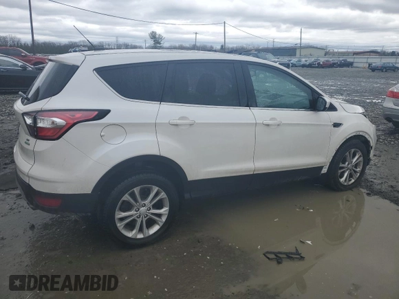 2017 Ford Escape SE with VIN 1FMCU0GD6HUC64348, listed as a Copart auction lot 49464525 with 82,273 mi miles and Salvage Title. Bid and sale history available at DreamBid. Image 3.
