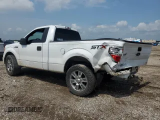 2014 Ford F-150 XL with VIN 1FTMF1CM5EKF53369, listed as a Copart auction lot 54539695 with 199,166 mi miles and Salvage title. Bid and sale history available at DreamBid. Image 2.