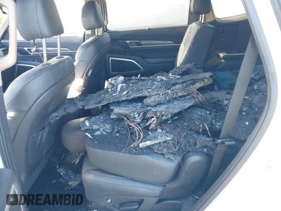 2021 Kia Telluride EX with VIN 5XYP3DHC4MG164072, listed as a IAAI auction lot 39796981 with Not Provided miles and . Bid and sale history available at DreamBid. Image 8.
