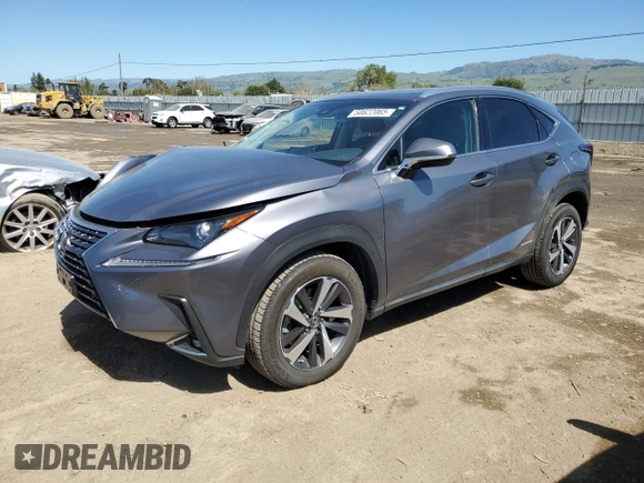 2019 Lexus NX 300h with VIN JTJBJRBZ1K2106287, listed as a Copart auction lot 50622065 with 56,259 mi miles and Salvage title. Bid and sale history available at DreamBid. Image 1.