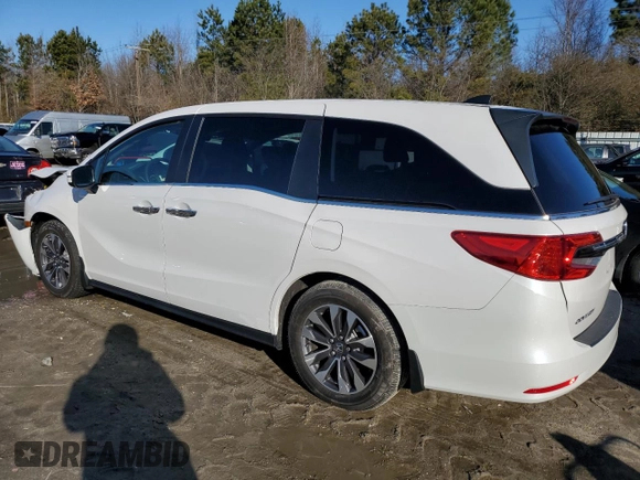 2024 Honda Odyssey EX-L with VIN 5FNRL6H69RB070816, listed as a Copart auction lot 45278975 with 4,491 mi miles and Salvage Title. Bid and sale history available at DreamBid. Image 2.