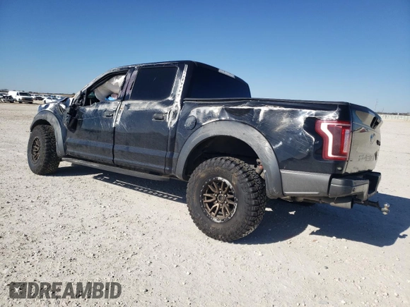 2019 Ford F-150 Raptor with VIN 1FTFW1RG0KFB43691, listed as a Copart auction lot 42049535 with 174,785 mi miles and Salvage Title. Bid and sale history available at carsss.com. Image 2.